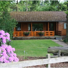 Vakantiebungalow Veluw...