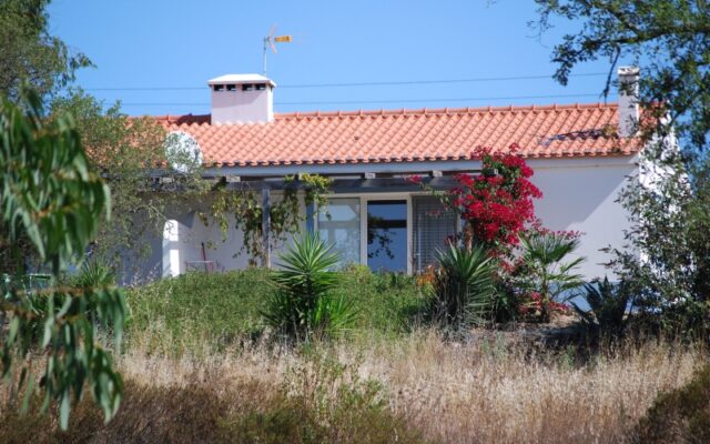 Cottage Passaro T2