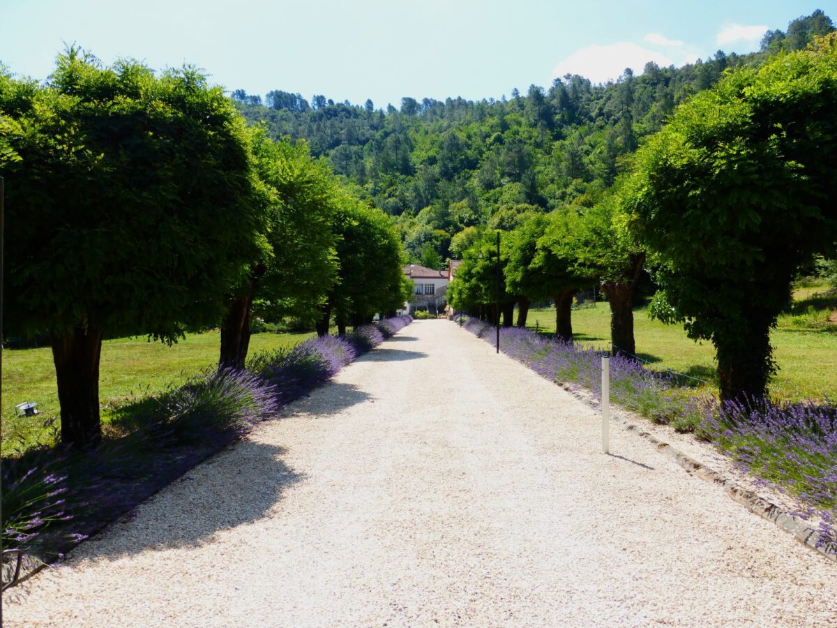 Les Tilleuls – foto 1