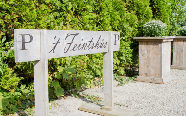 ’t Feintshûs