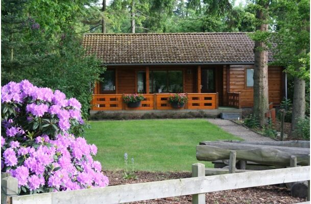 Vakantiebungalow Veluwe