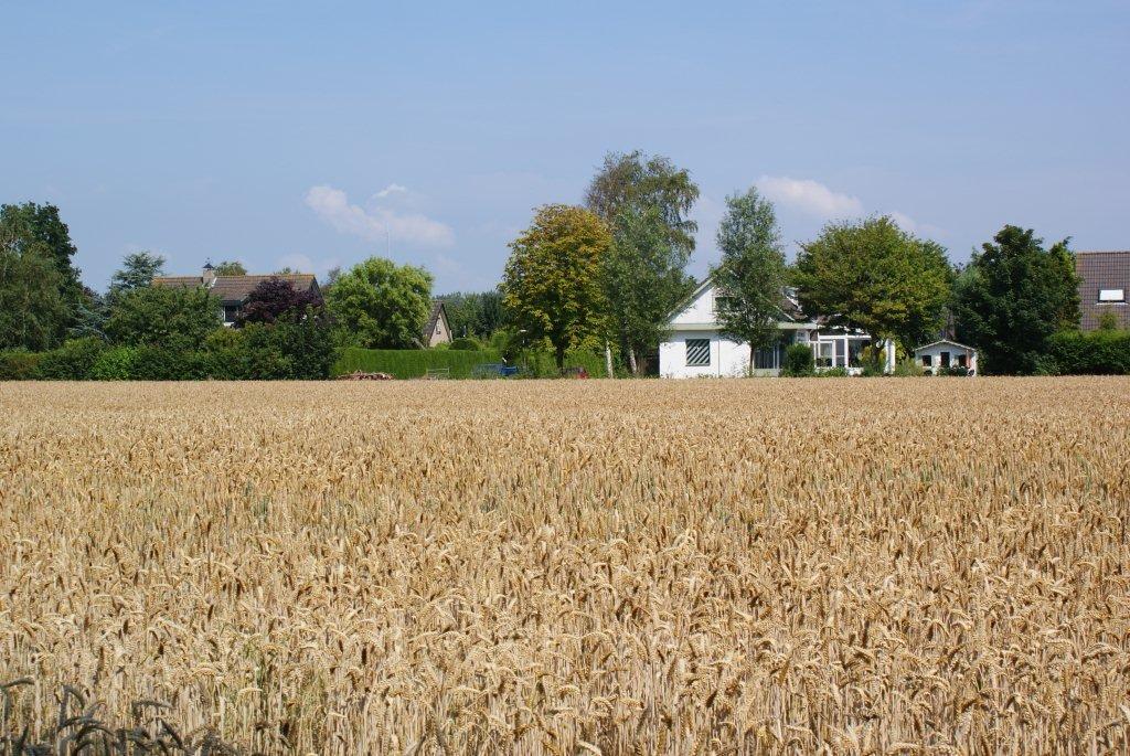Vakantiehuis Heemsdael, ***** – foto 1