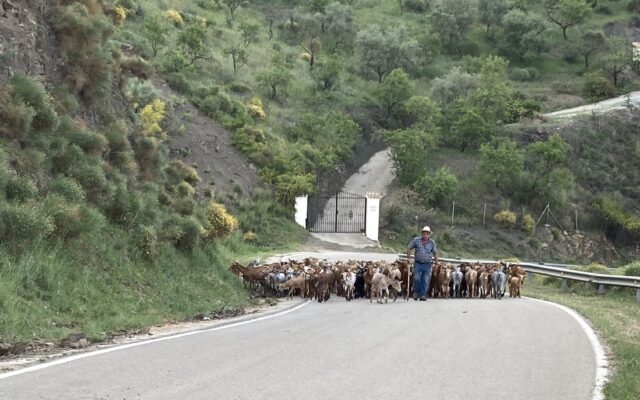 Costa del Sol -Andalusie – foto 25